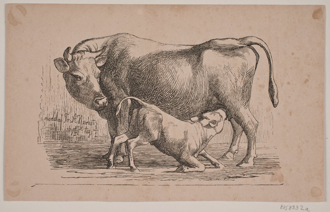 La vaca y el ternero de Andreas Flinch