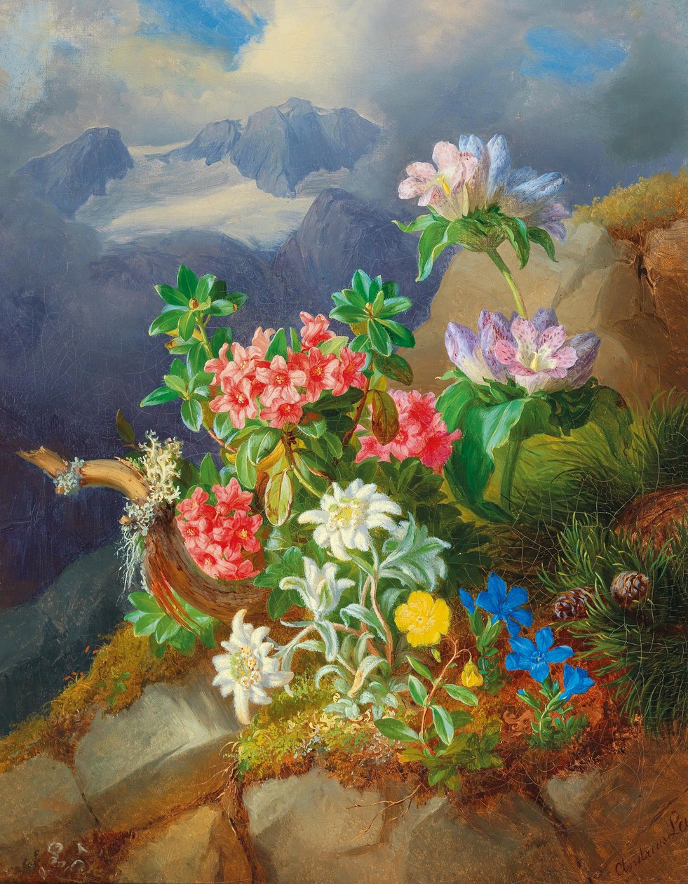 Flores alpinas de Andreas Lach