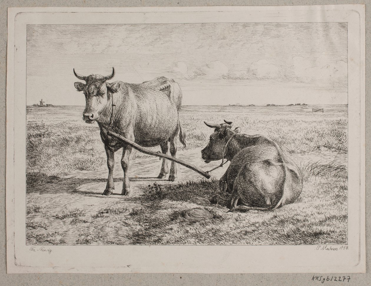 Danés: Dos vacas interconectadas de Andreas Peter Madsen