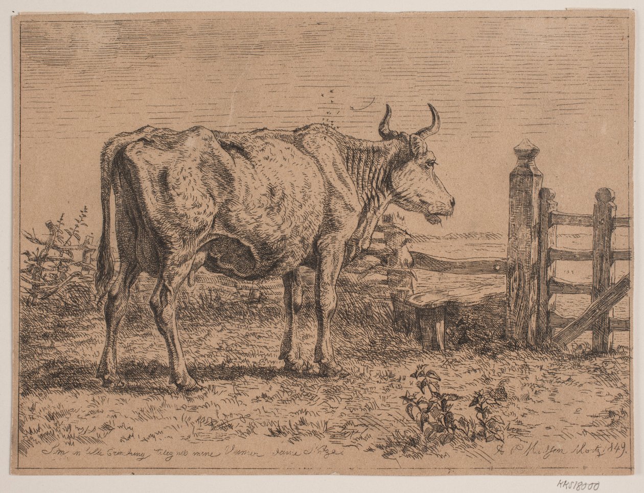 Una vaca de pie de Andreas Peter Madsen