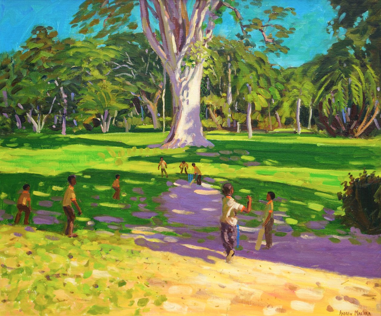 Partido de cricket, Jardines Botánicos, Dominica, Granadinas, 2011 de Andrew Macara