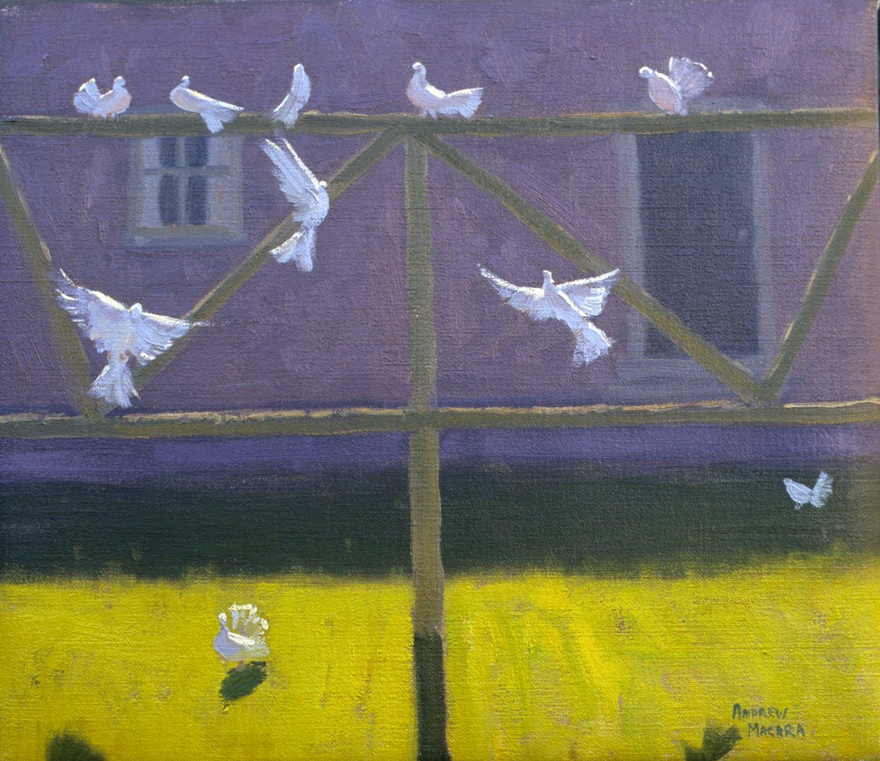 Palomas, 1999 de Andrew Macara
