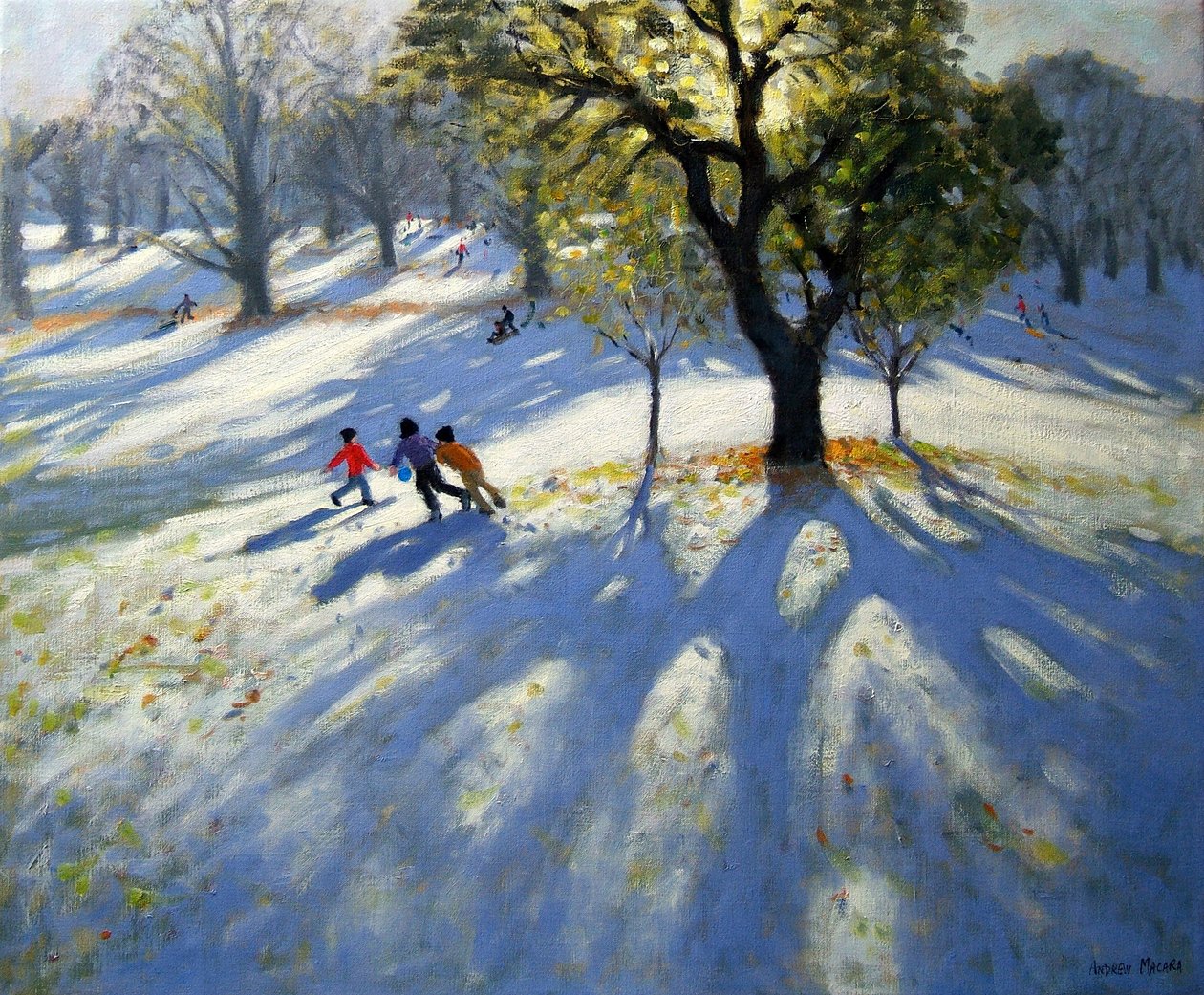 Parque Markeaton, primera nieve de Andrew Macara