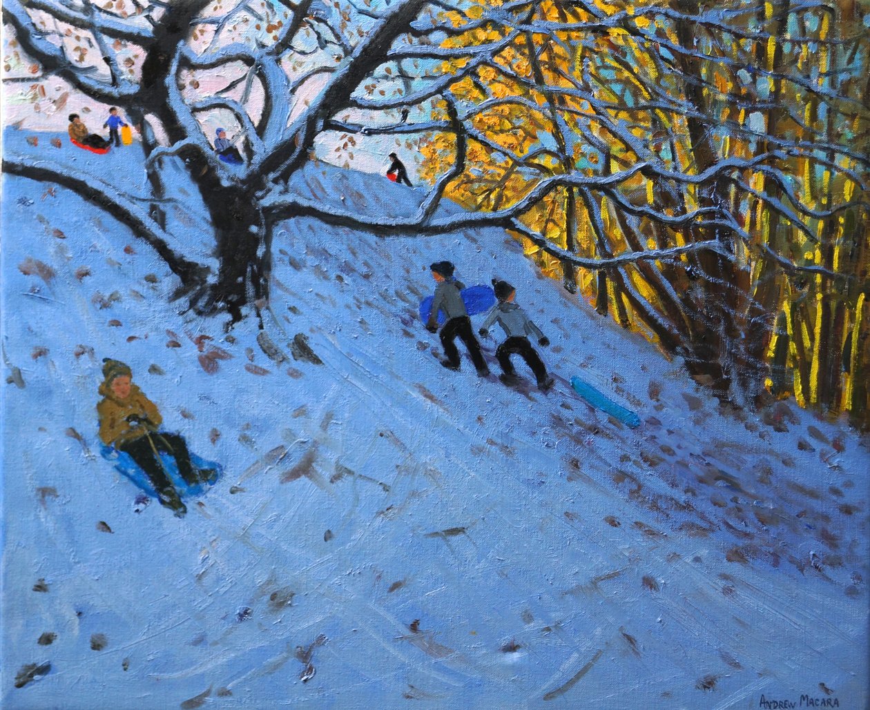 Trineo en el campo de golf Allestree (tercer hoyo) 2014 de Andrew Macara