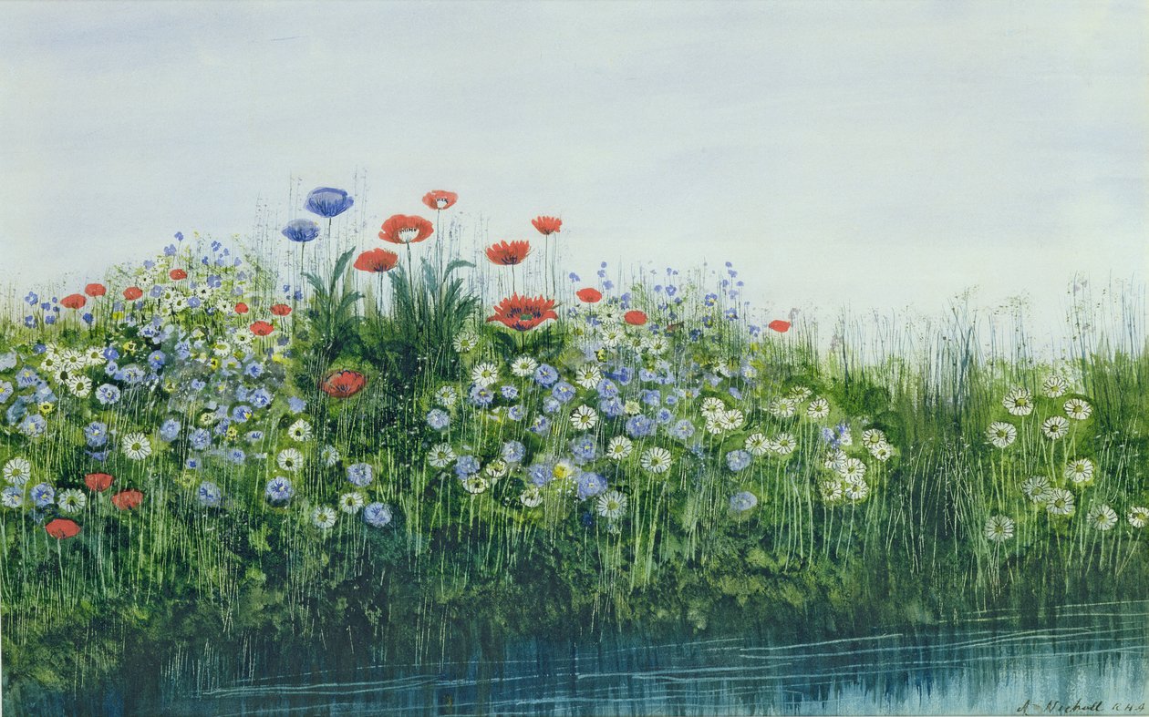 Amapolas junto a un arroyo de Andrew Nicholl