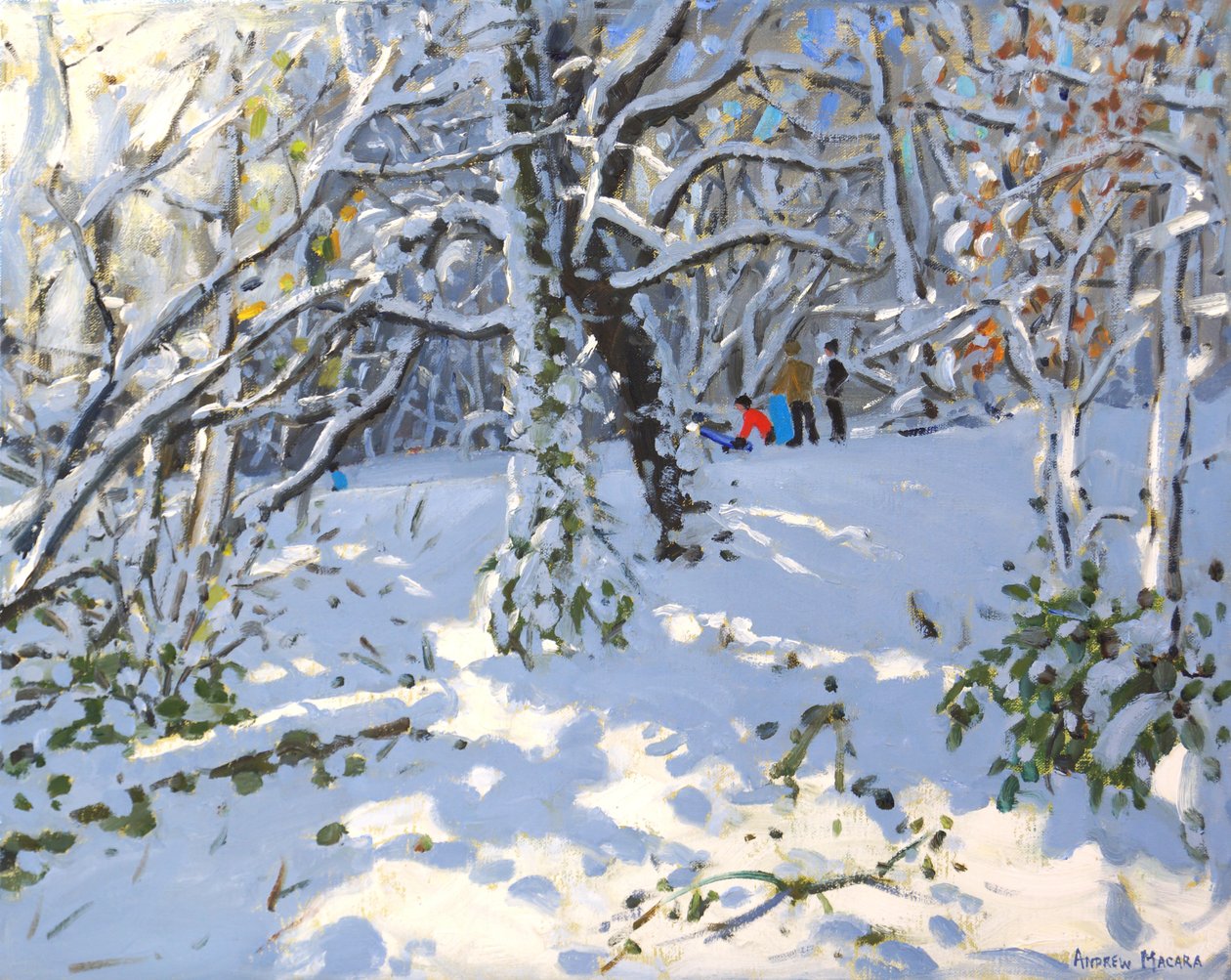 Trineo navideño en Allestree Woods de Andrew Macara