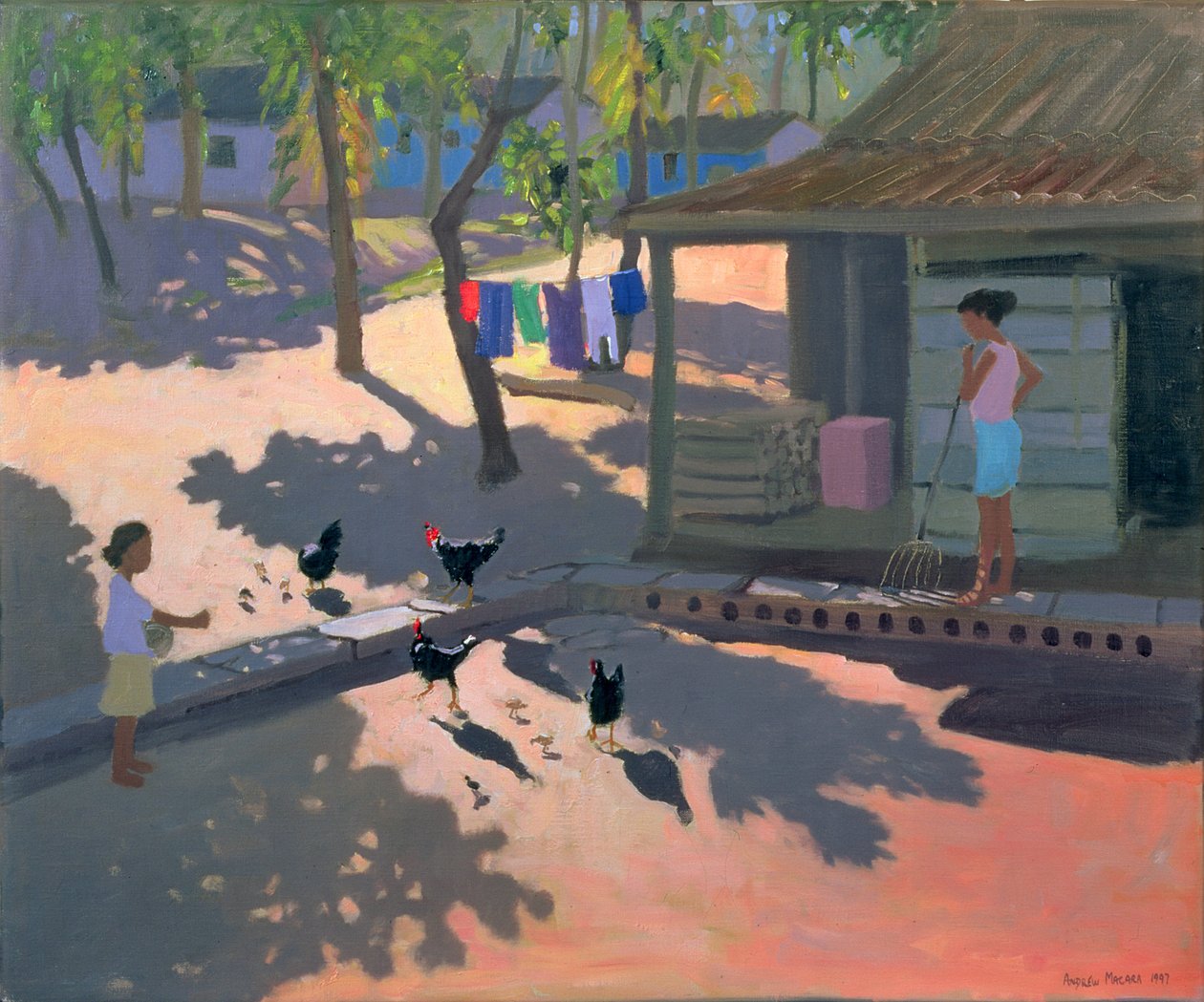 Gallinas y Pollos, Cuba, 1997 de Andrew Macara