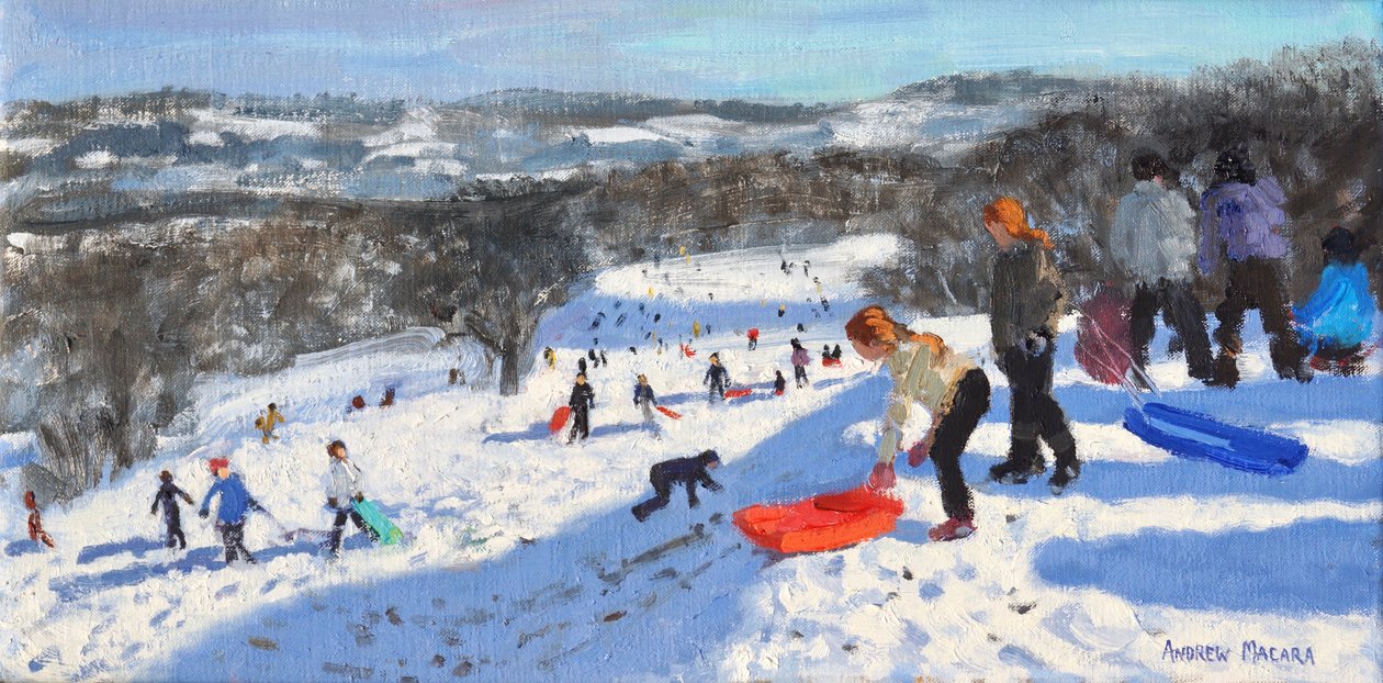 El trineo rojo, Allestree Park, Derby, 2016 de Andrew Macara