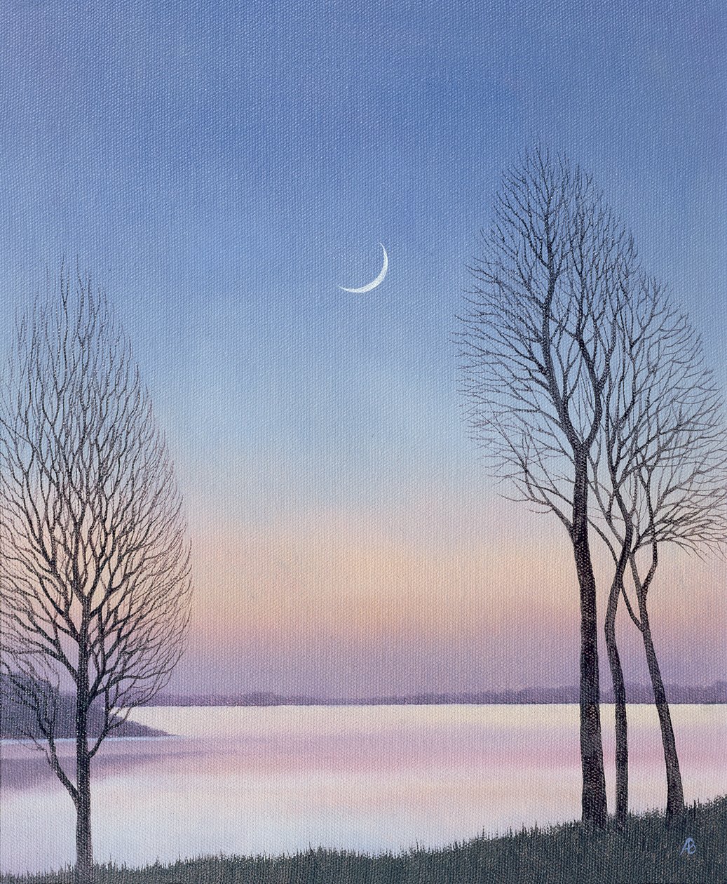 Anochecer en Draycote de Anna Phillips
