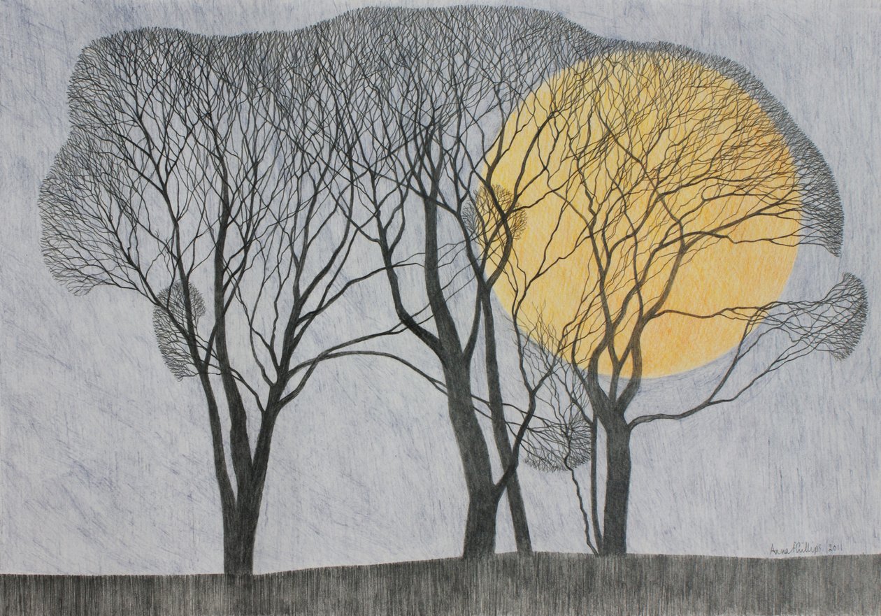 Megamoon, 2011 de Anna Phillips