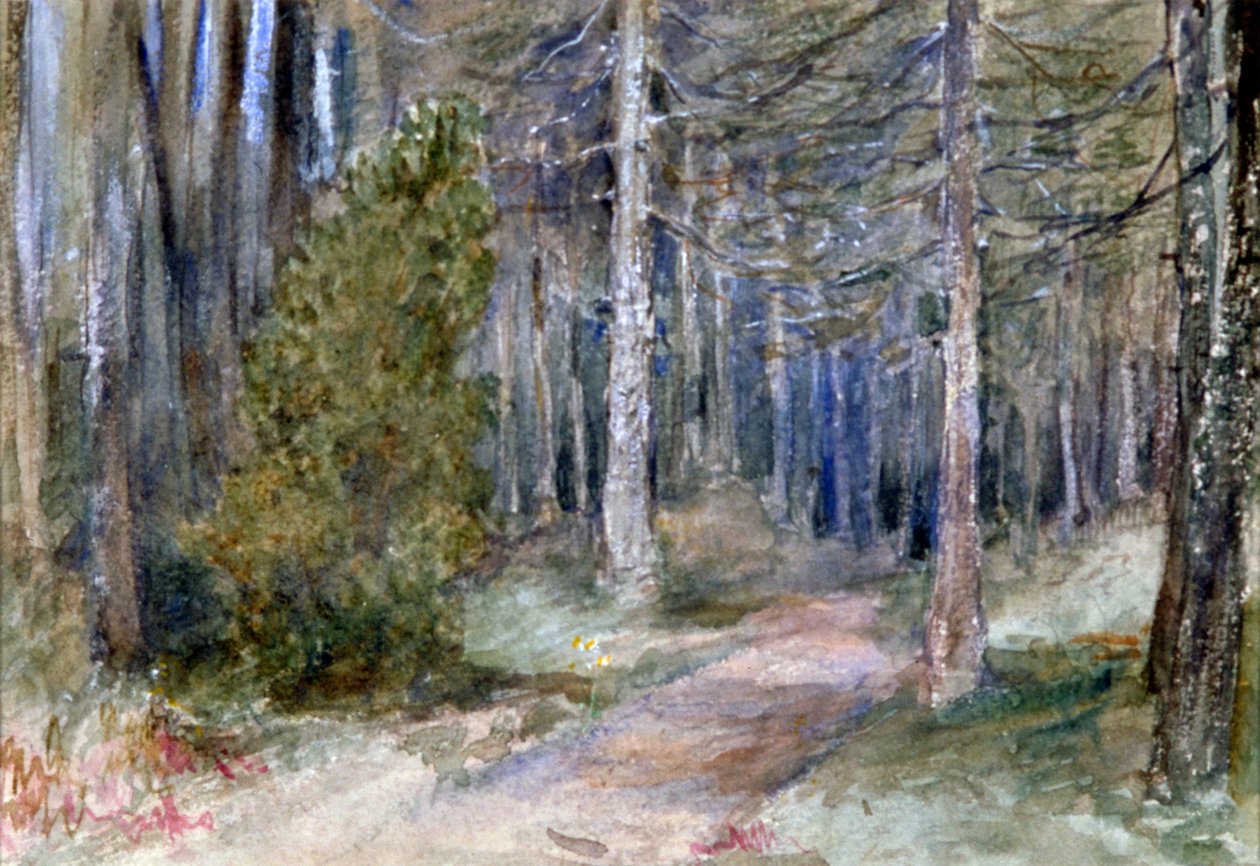 En un bosque, c. 1864-1930 de Anna Lea Merritt