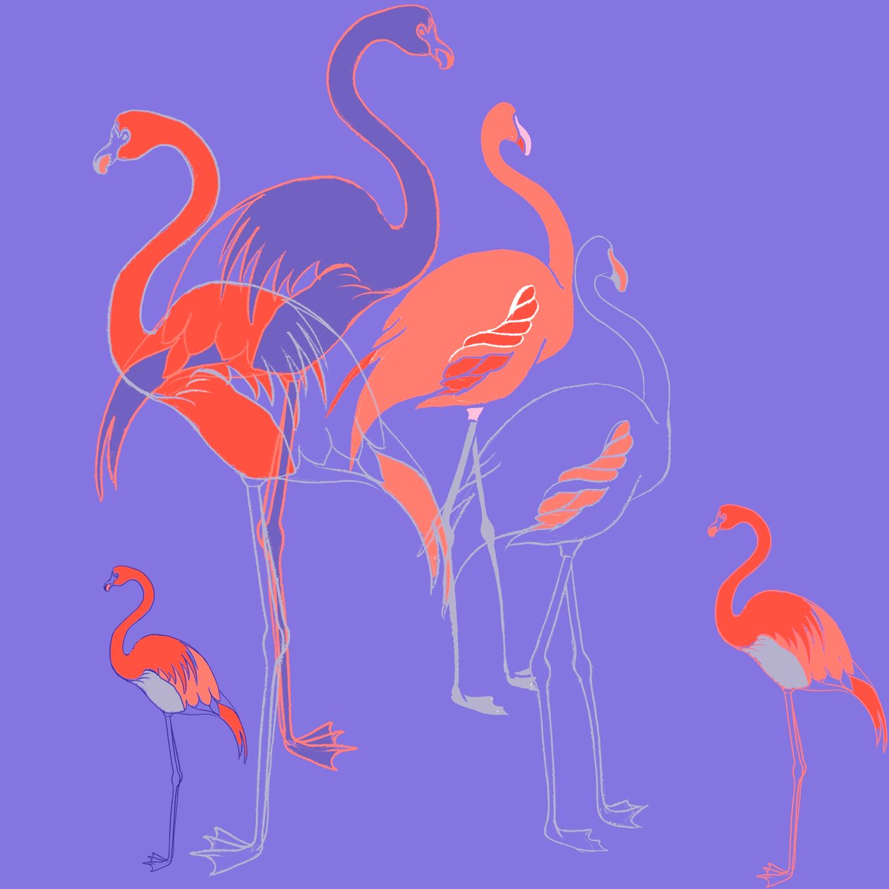 Flamencos de Anna Platts