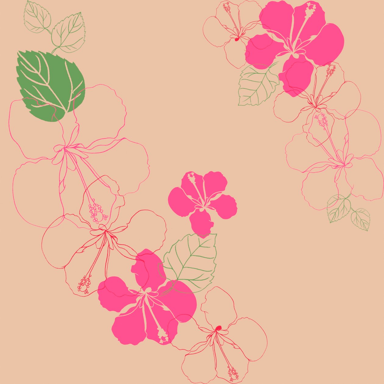 Hibisco de Anna Platts