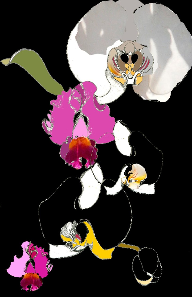 Orquídea de Anna Platts