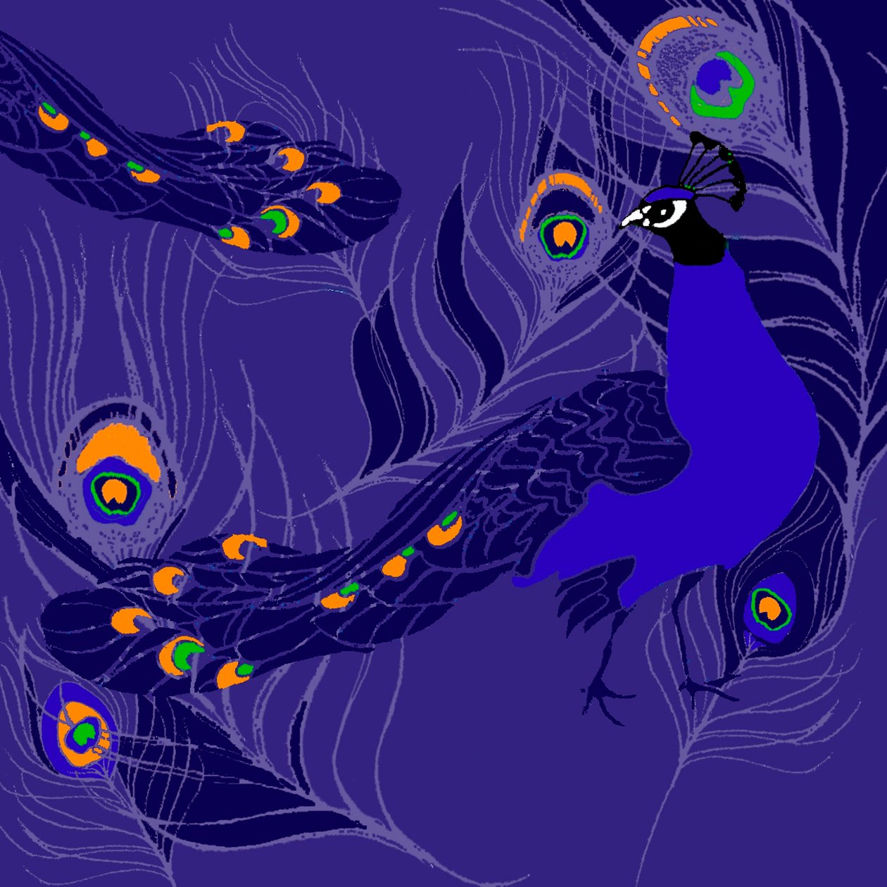 Pavo Real de Anna Platts