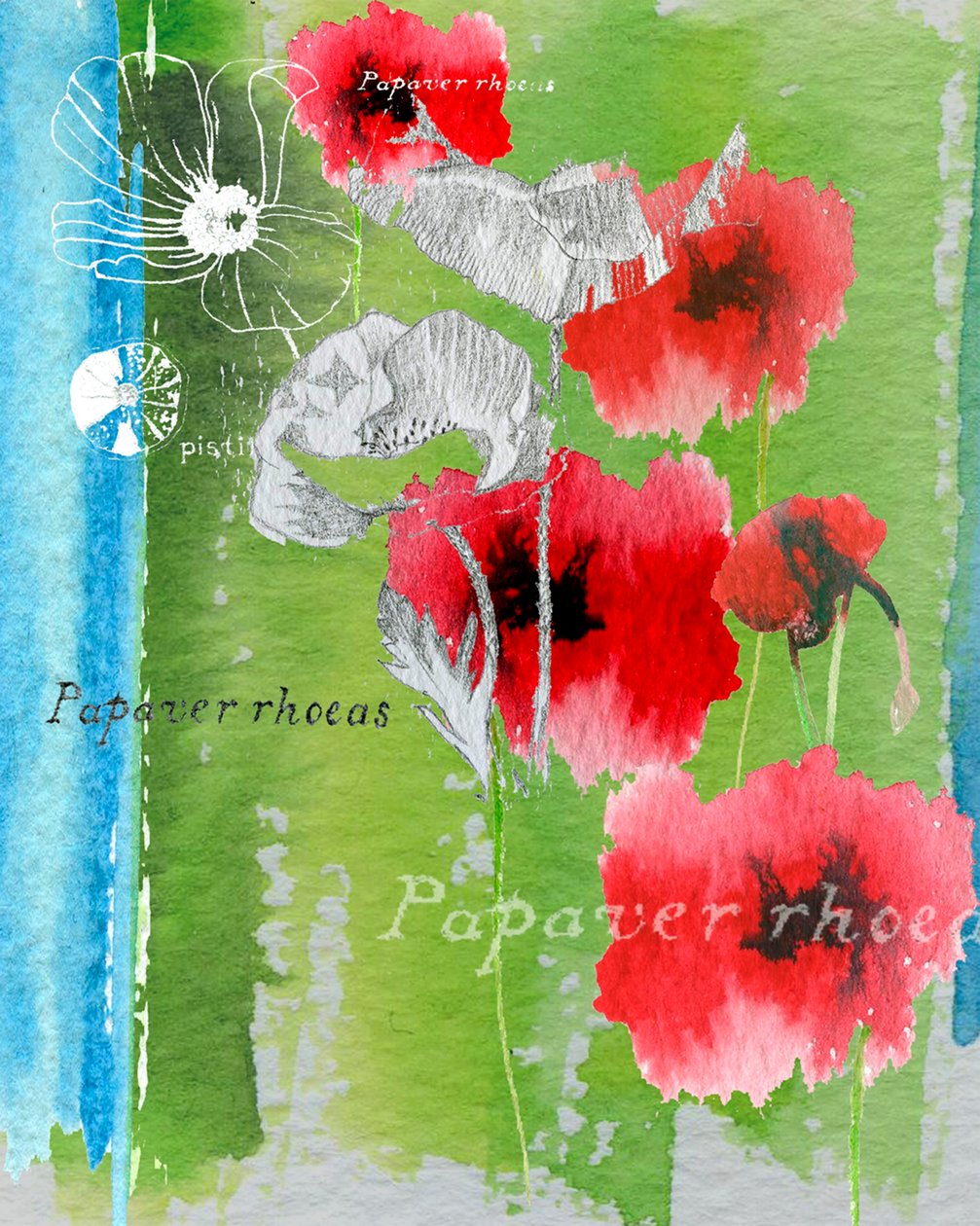 Amapola de Anna Platts