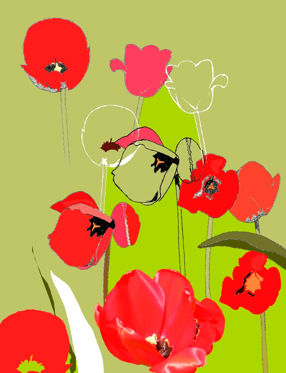 Tulipán de Anna Platts