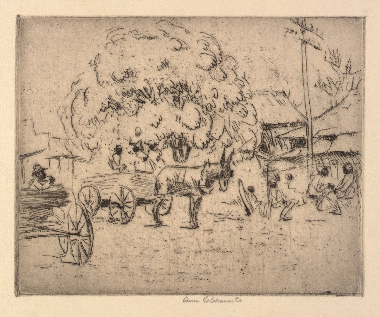 Sección de negocios de Boquehomo de Anne Goldthwaite
