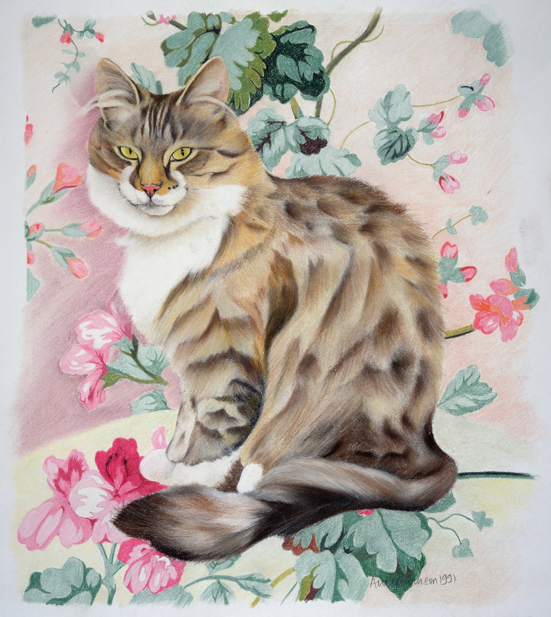 Gato atigrado de pelo largo de Anne Robinson