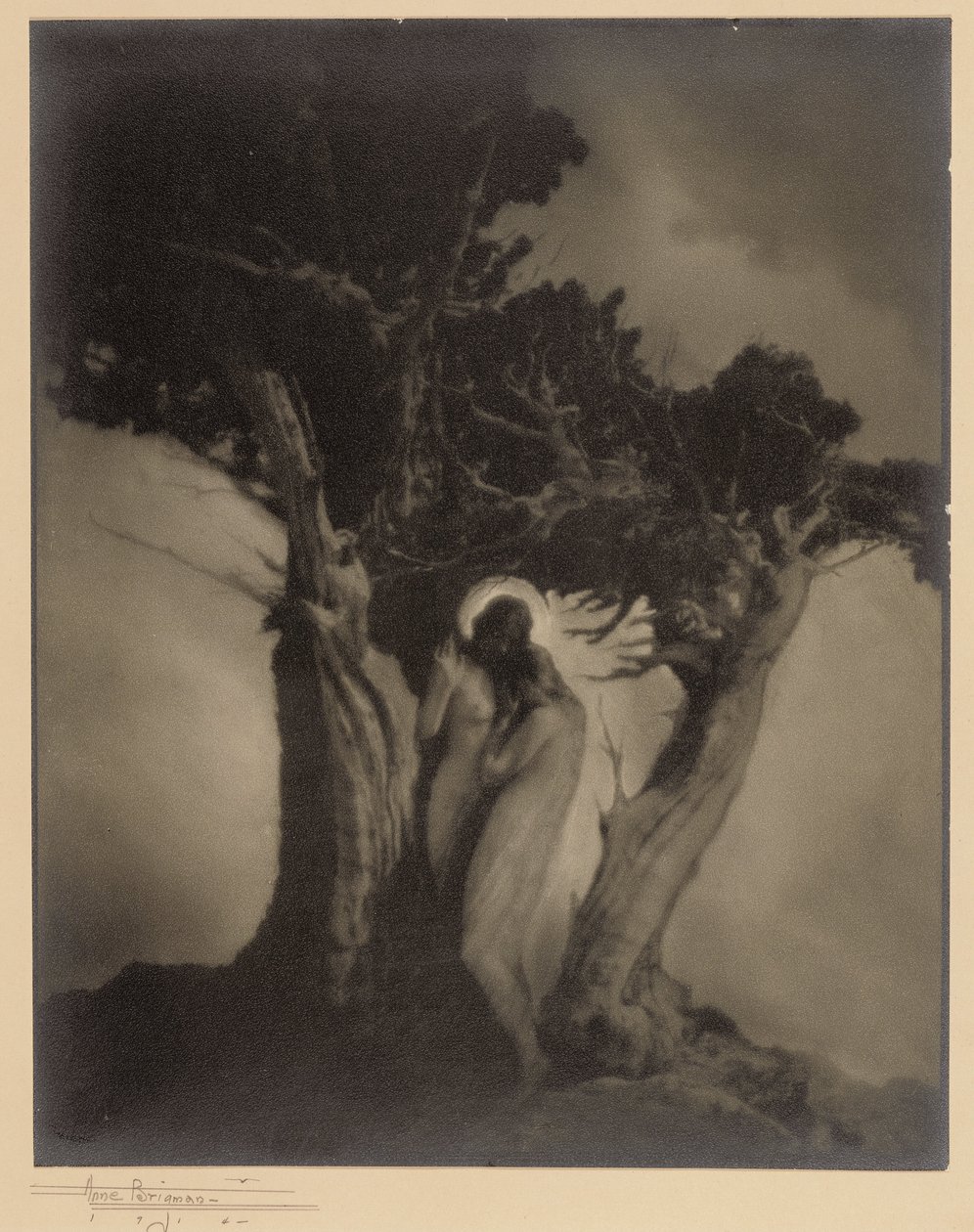 El corazón de la tormenta de Anne W. Brigman