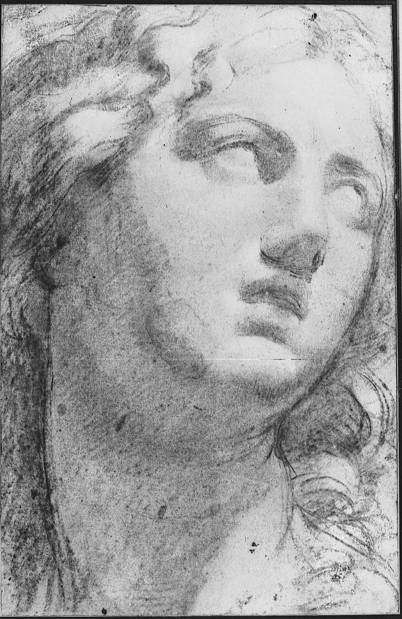 Niobe de Annibale Carracci