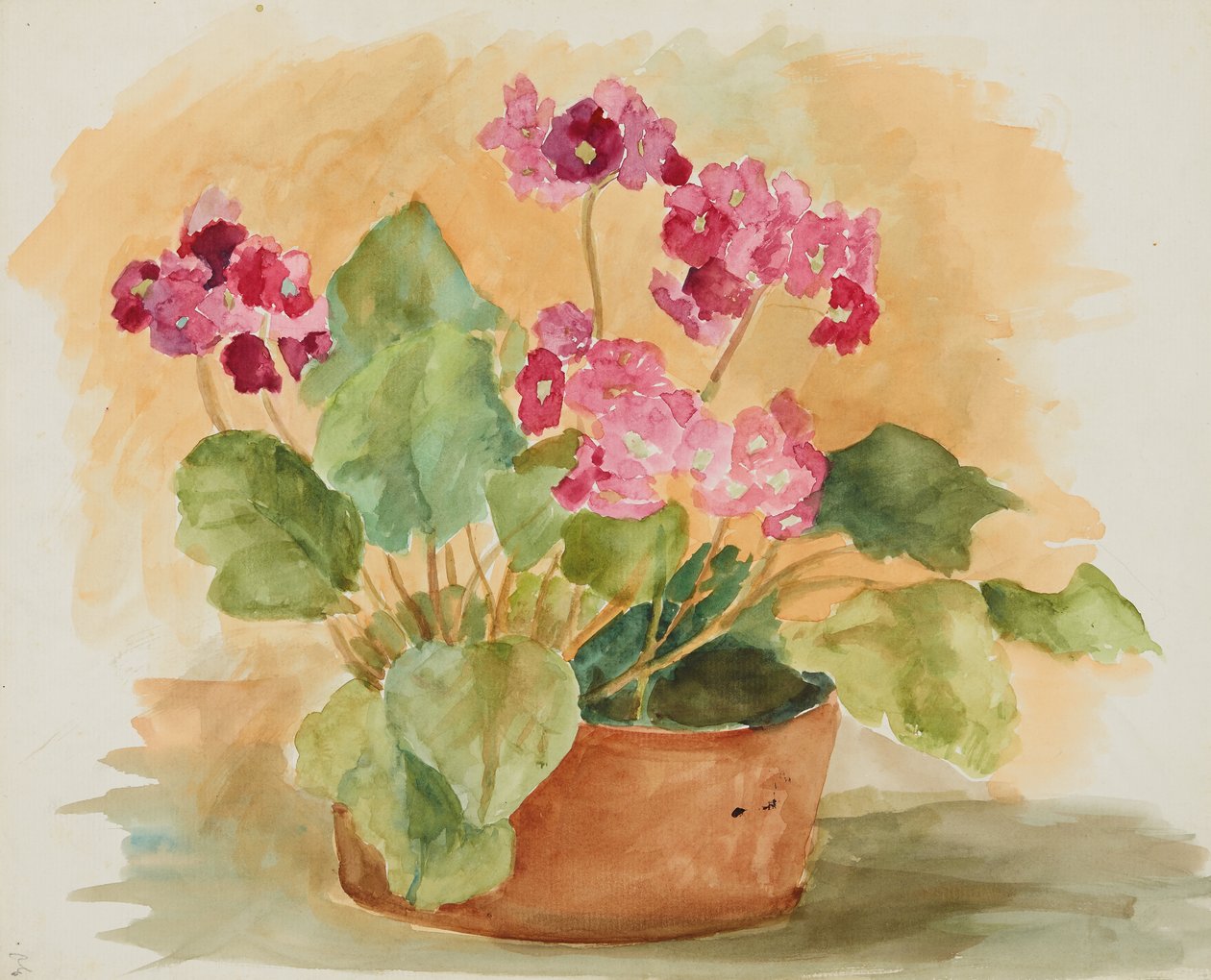 bodegones de flores de Anny Dollschein