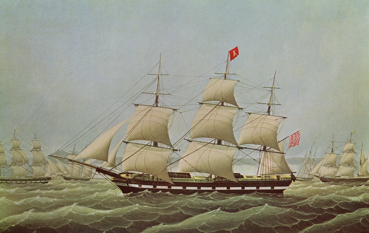 Barco de vela completa 