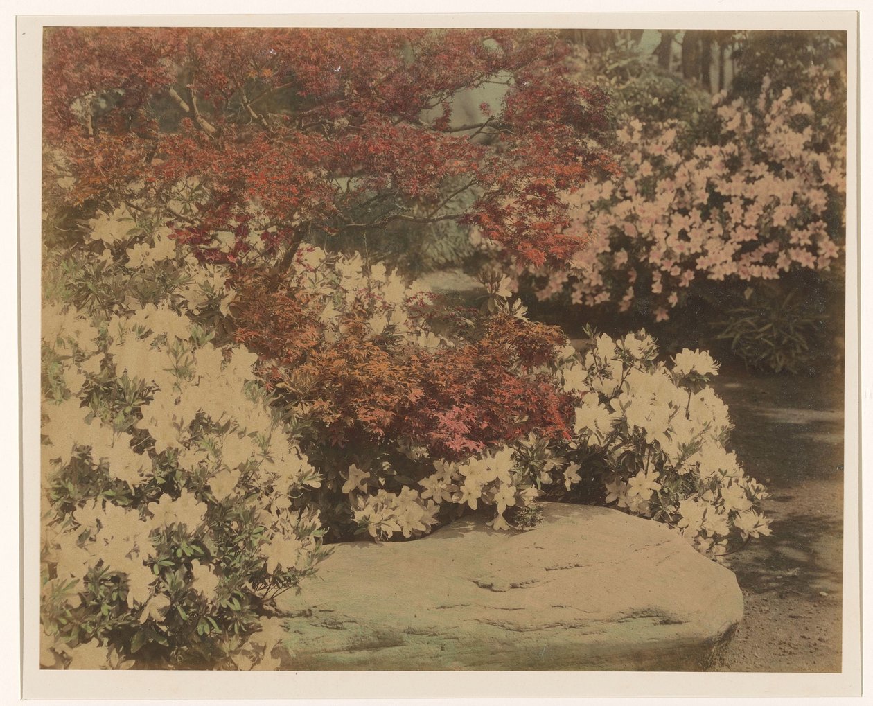 jardín japonés con flores de Anonymous