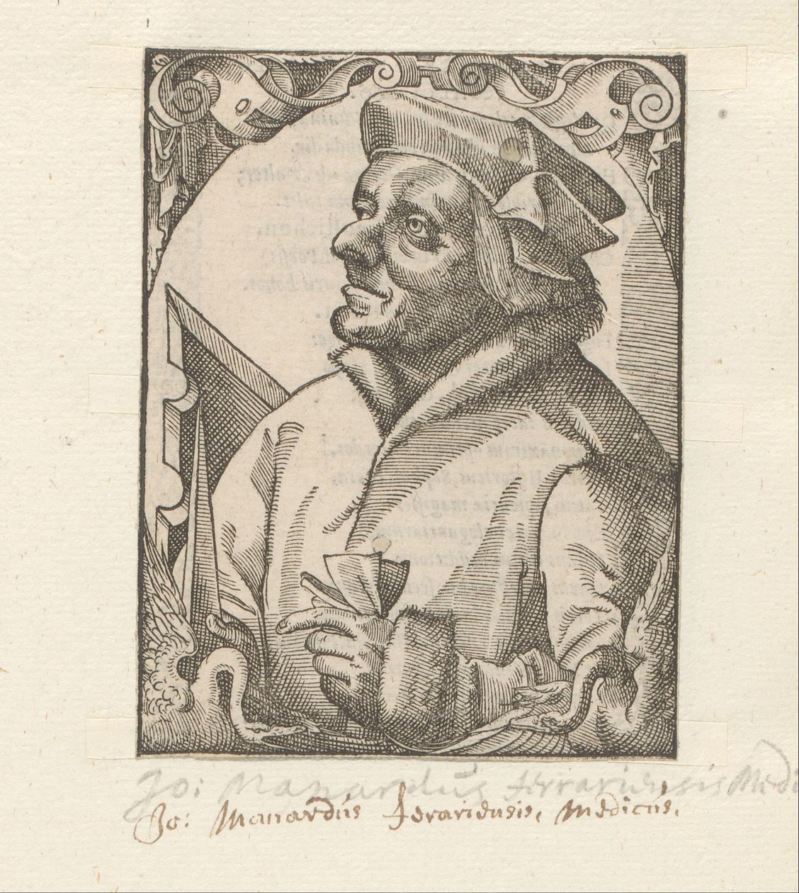 Retrato de Johannes Manardi de Anonymous