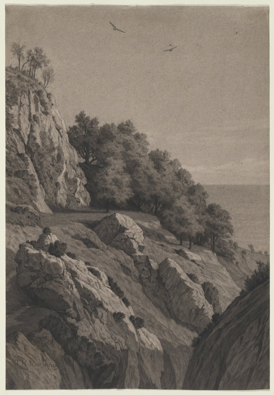 Rocky Cliff on a Coast de Anonymous