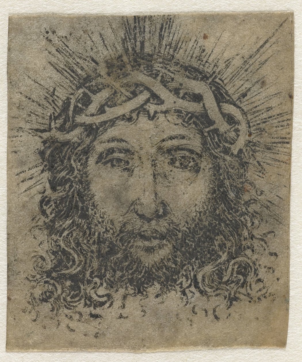 Ícono de Vera de Anonymous