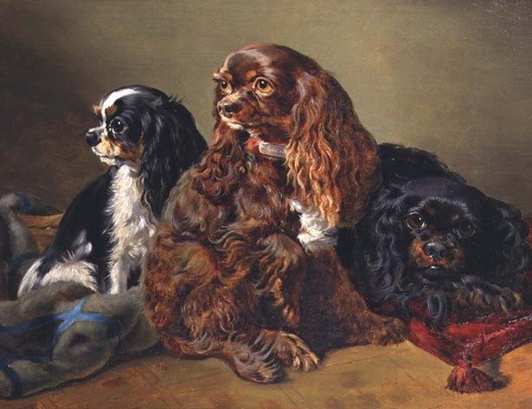 Spaniels del Rey Carlos de Anonymous Anonymous