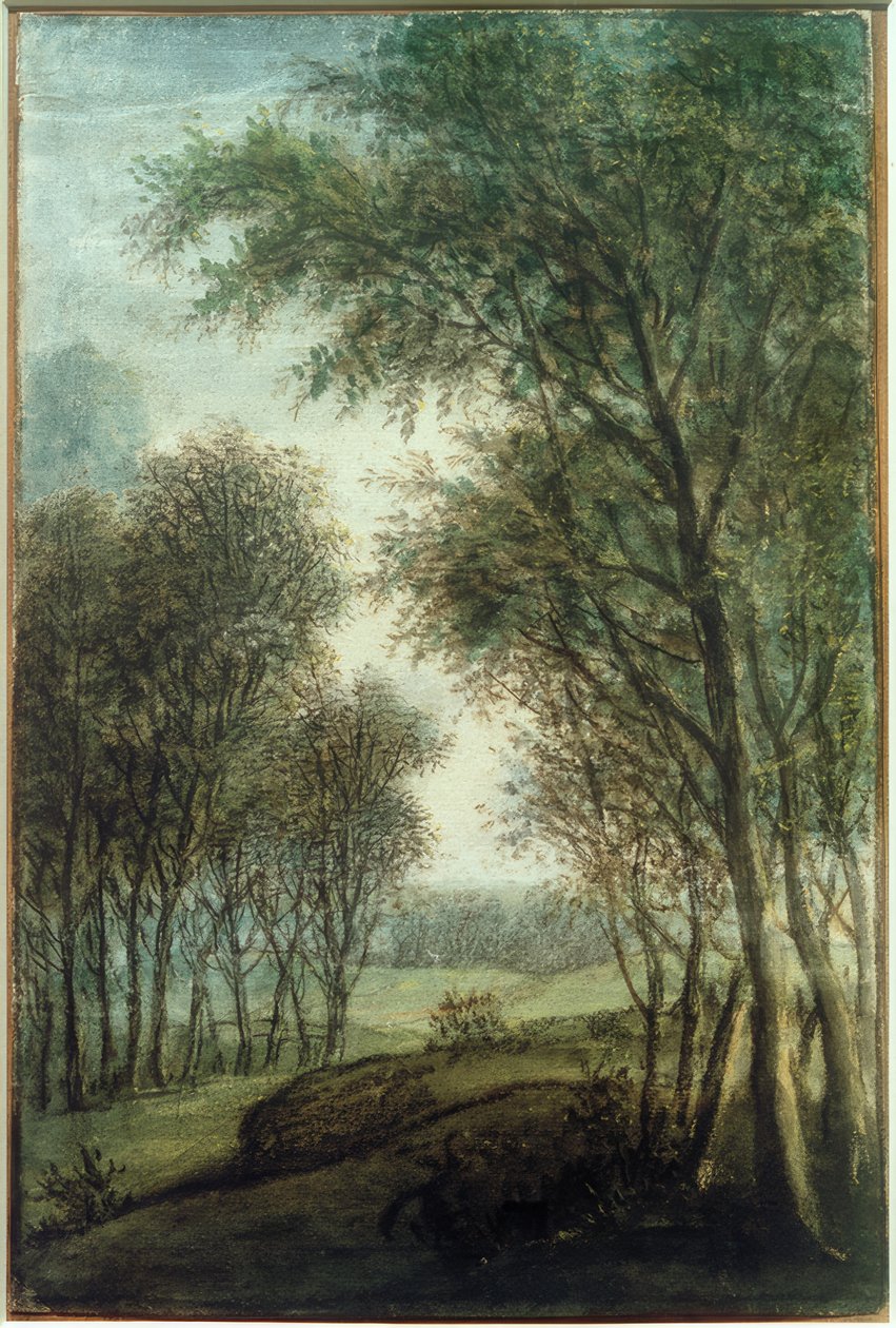 Borde del bosque de Anthonie Waterloo
