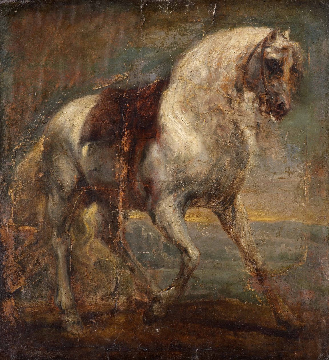 Un caballo gris de Anthony van Dyck