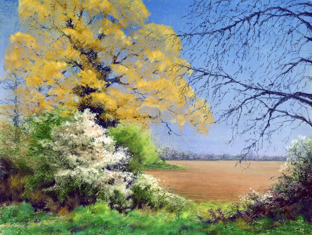 Invierno de endrino de Anthony Rule