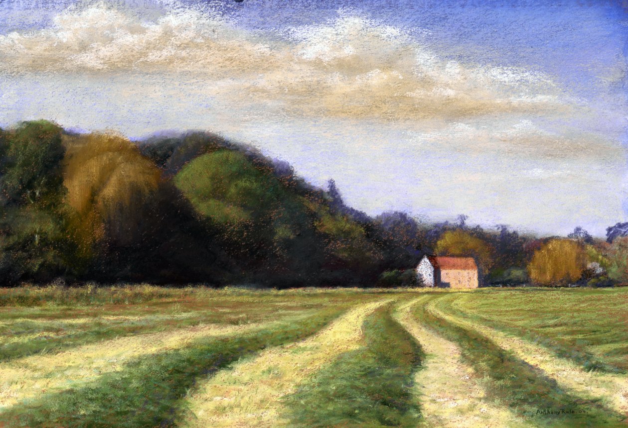 Tiempo de ensilaje, 2004 de Anthony Rule