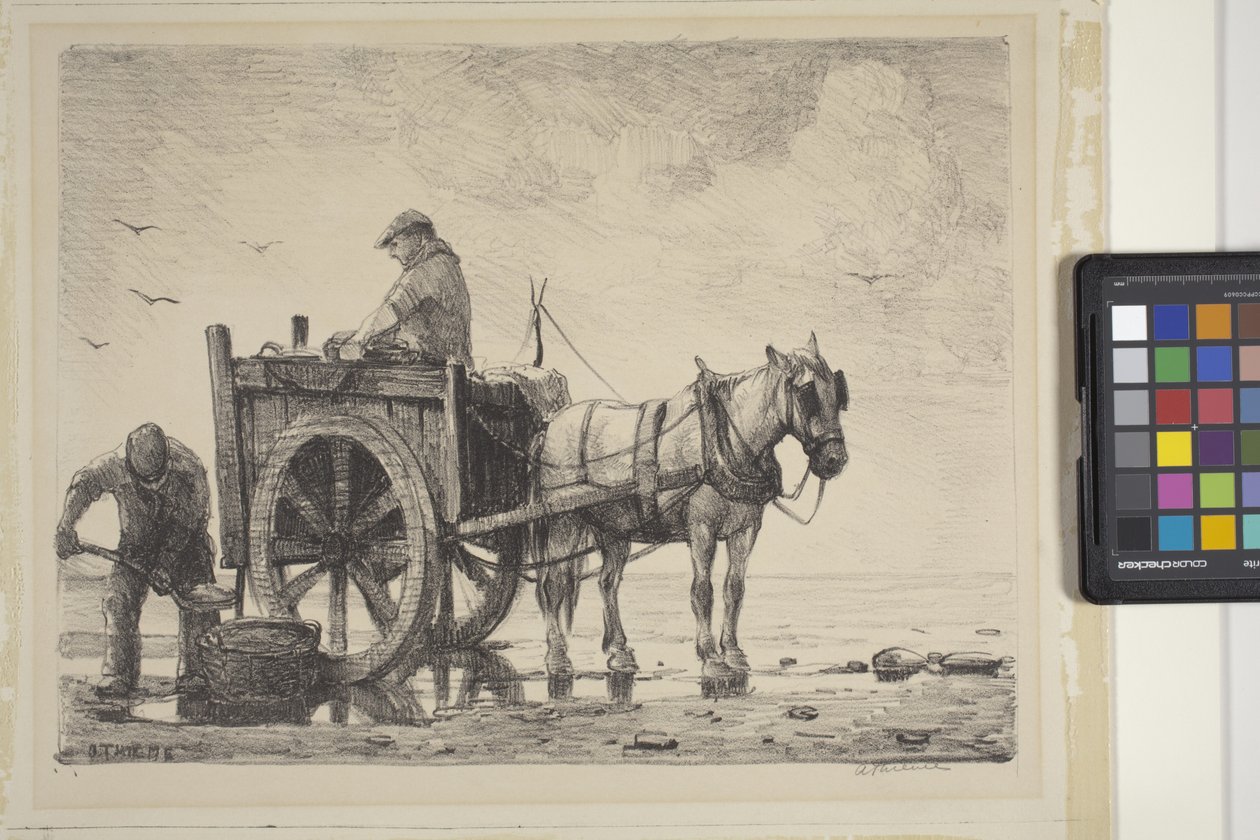 Recolectores de algas (litografía) de Anthony Thieme