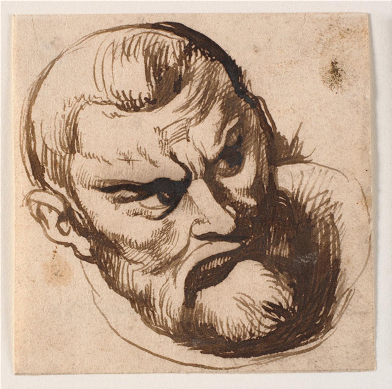 Mandehoved de Anthony van Dyck