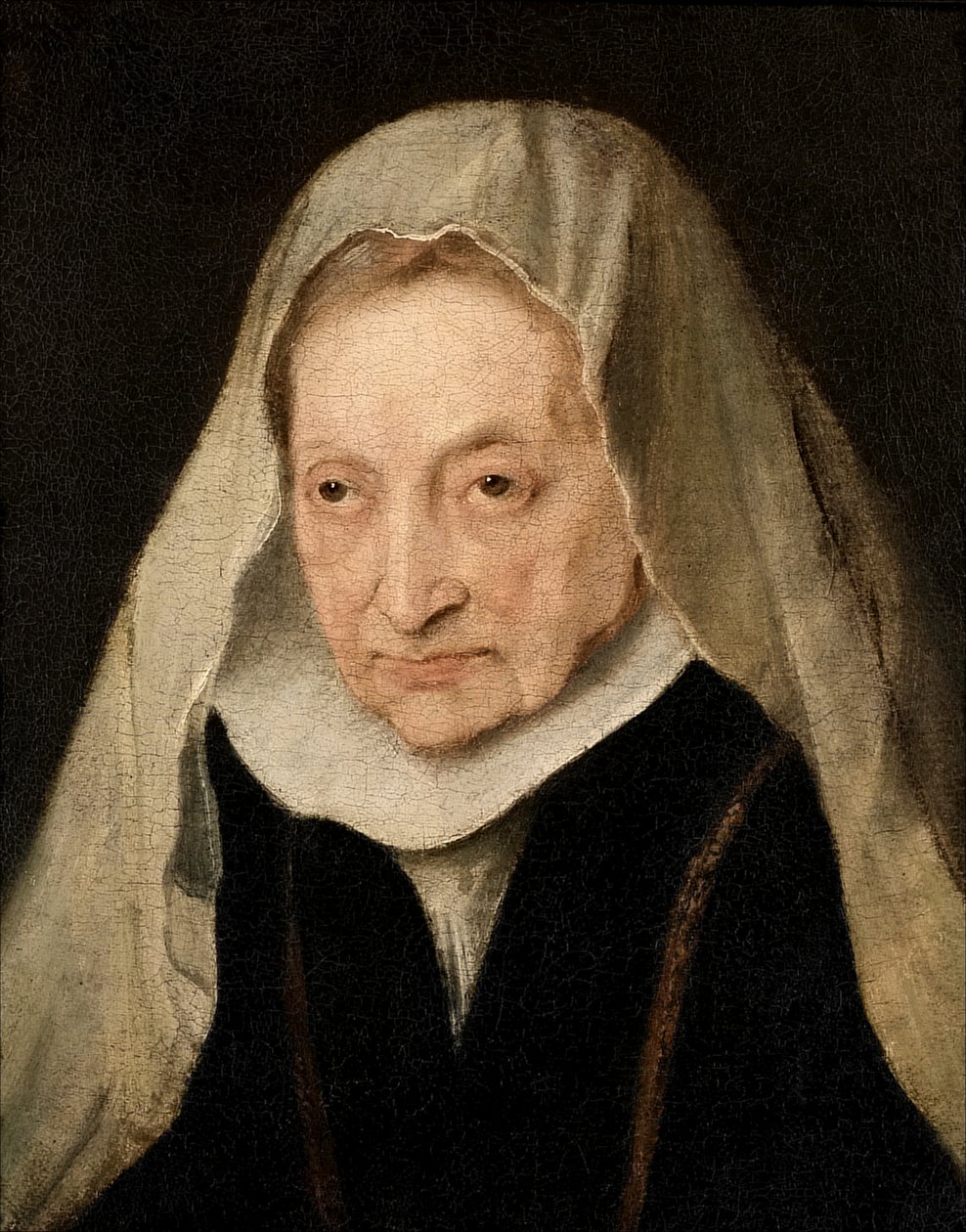 Sofonisba Anguissola (Cremona 1530/6-1625) de Anthony van Dyck
