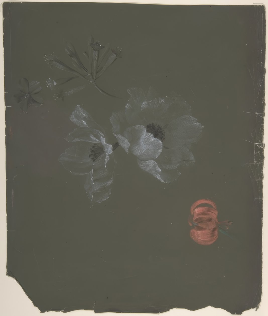 Diseño floral de Antoine Berjon
