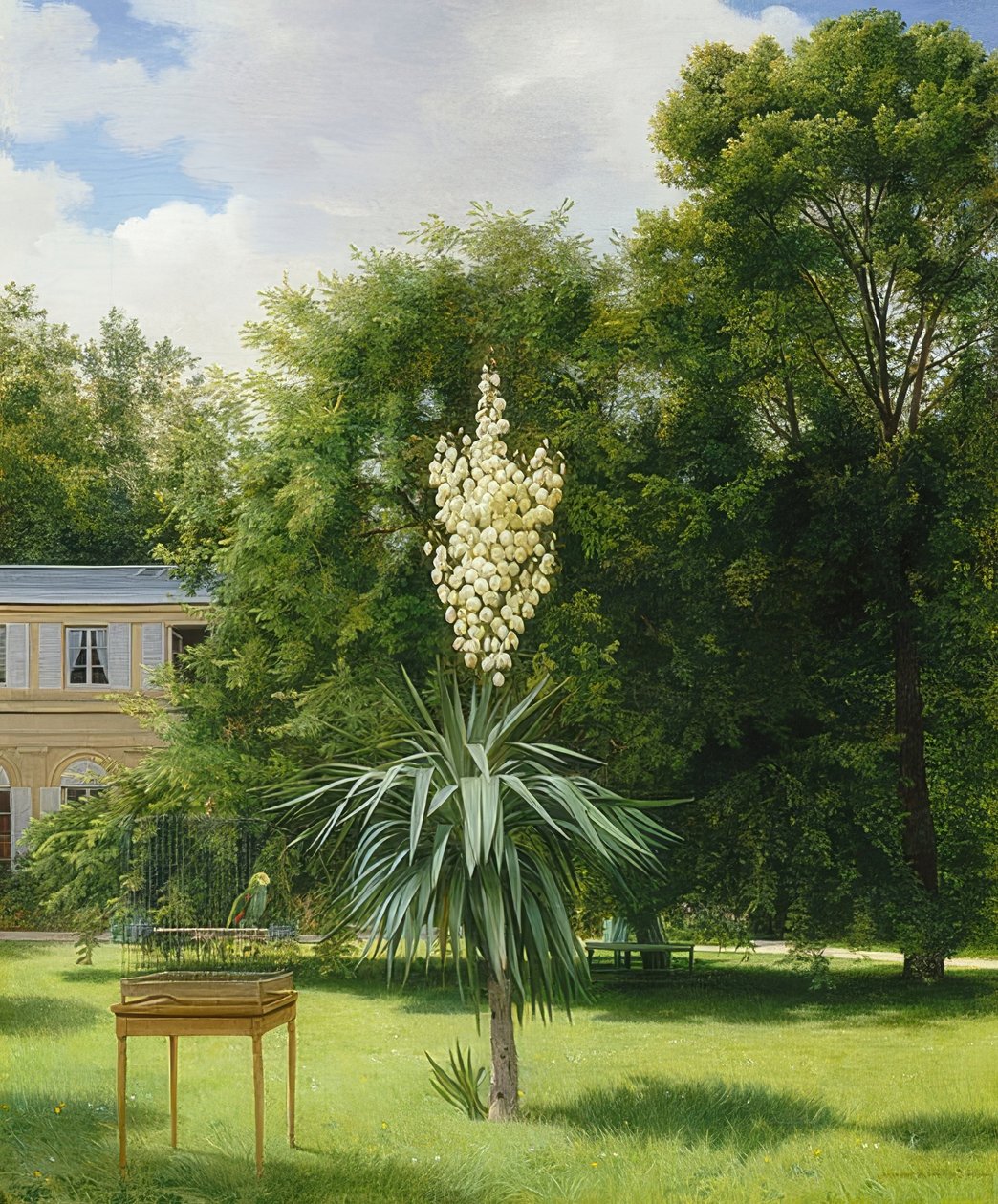 Una palmera de yuca en el parque de Neuilly. 1845 de Antoine Chazal