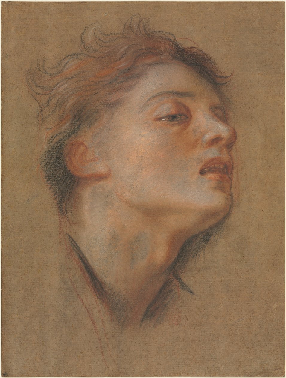 cabeza de un joven de Antoine Coypel
