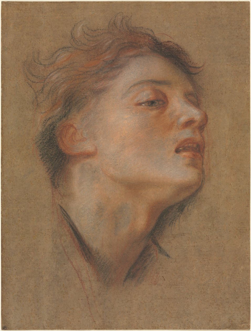 Cabeza de un Joven, 1715-1717 de Antoine Coypel
