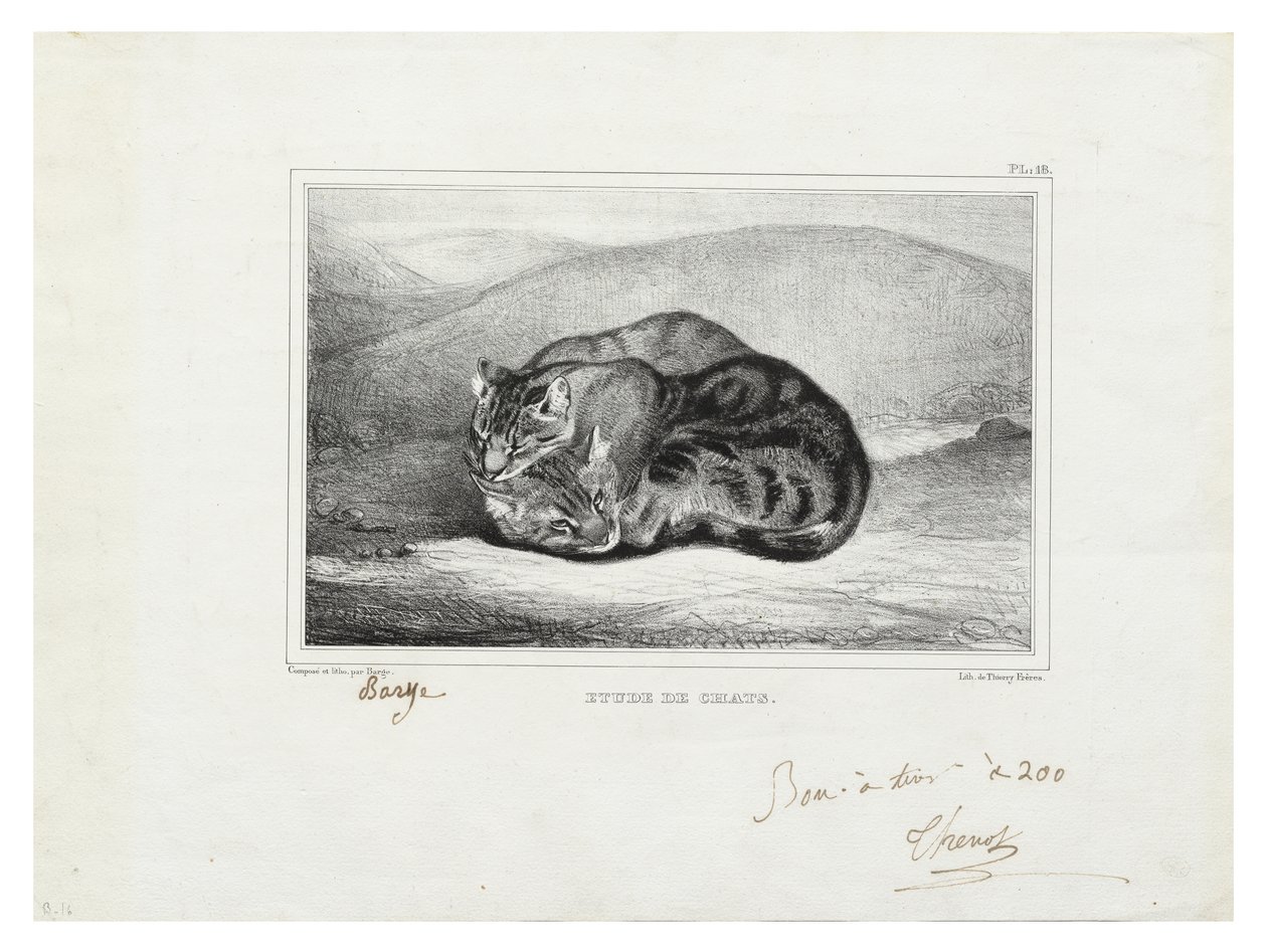 Estudio de gatos de Antoine Louis Barye