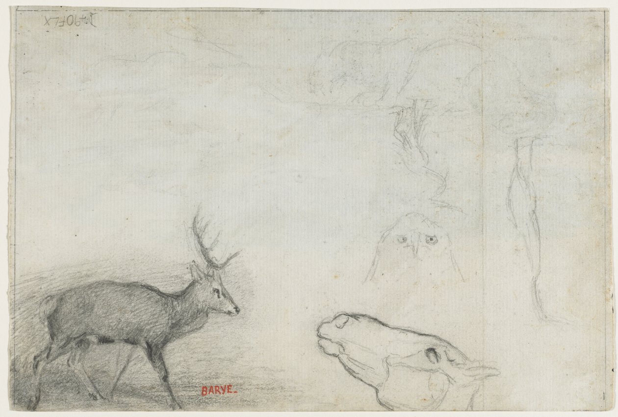 Estudios de animales (verso) de Antoine Louis Barye