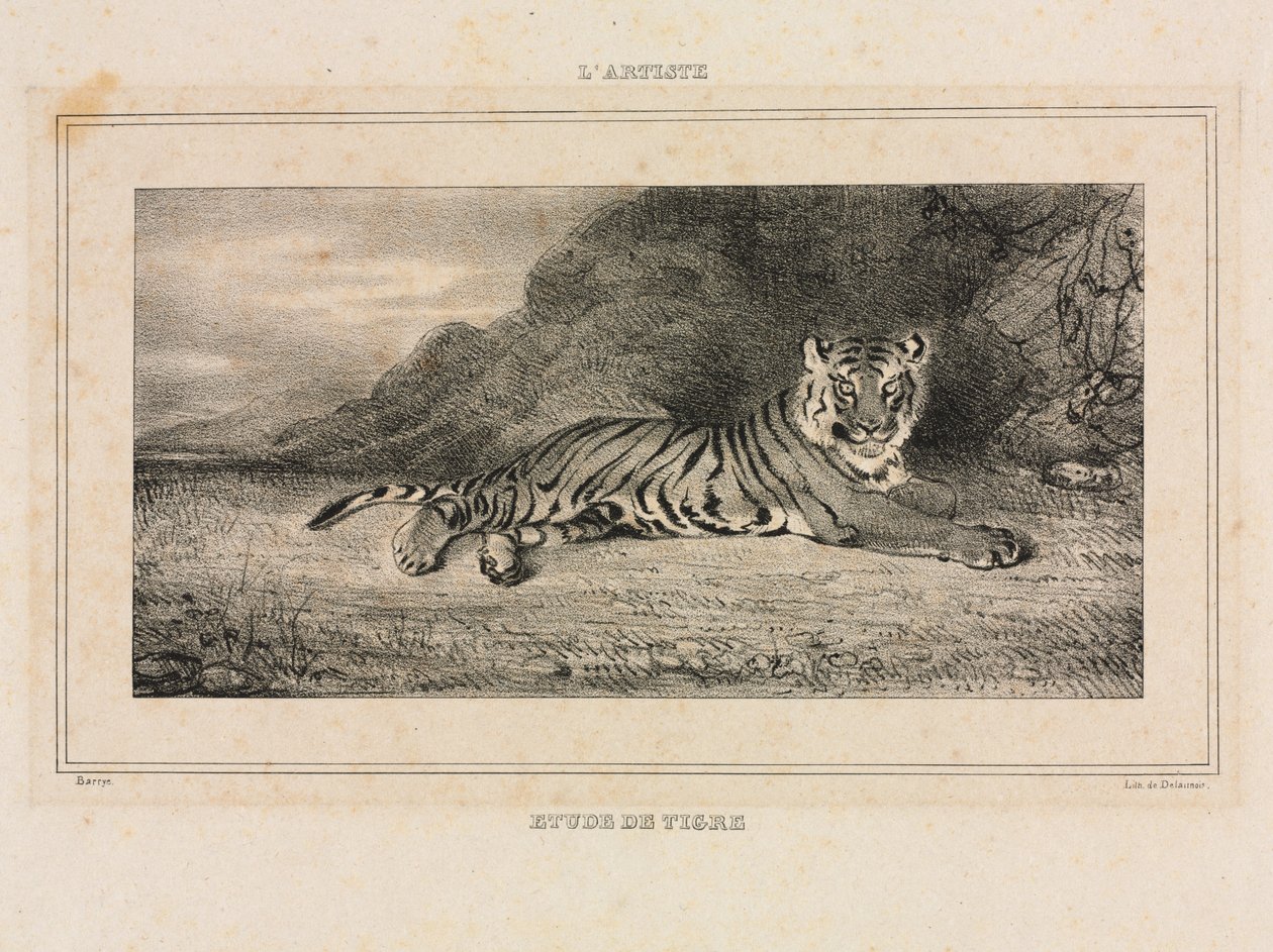 Estudio de un tigre de Antoine Louis Barye
