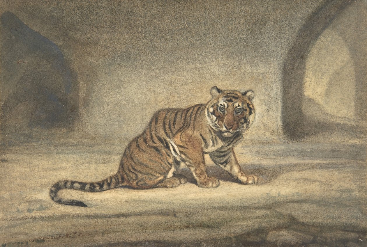 Tigre, 1810-75 de Antoine Louis Barye