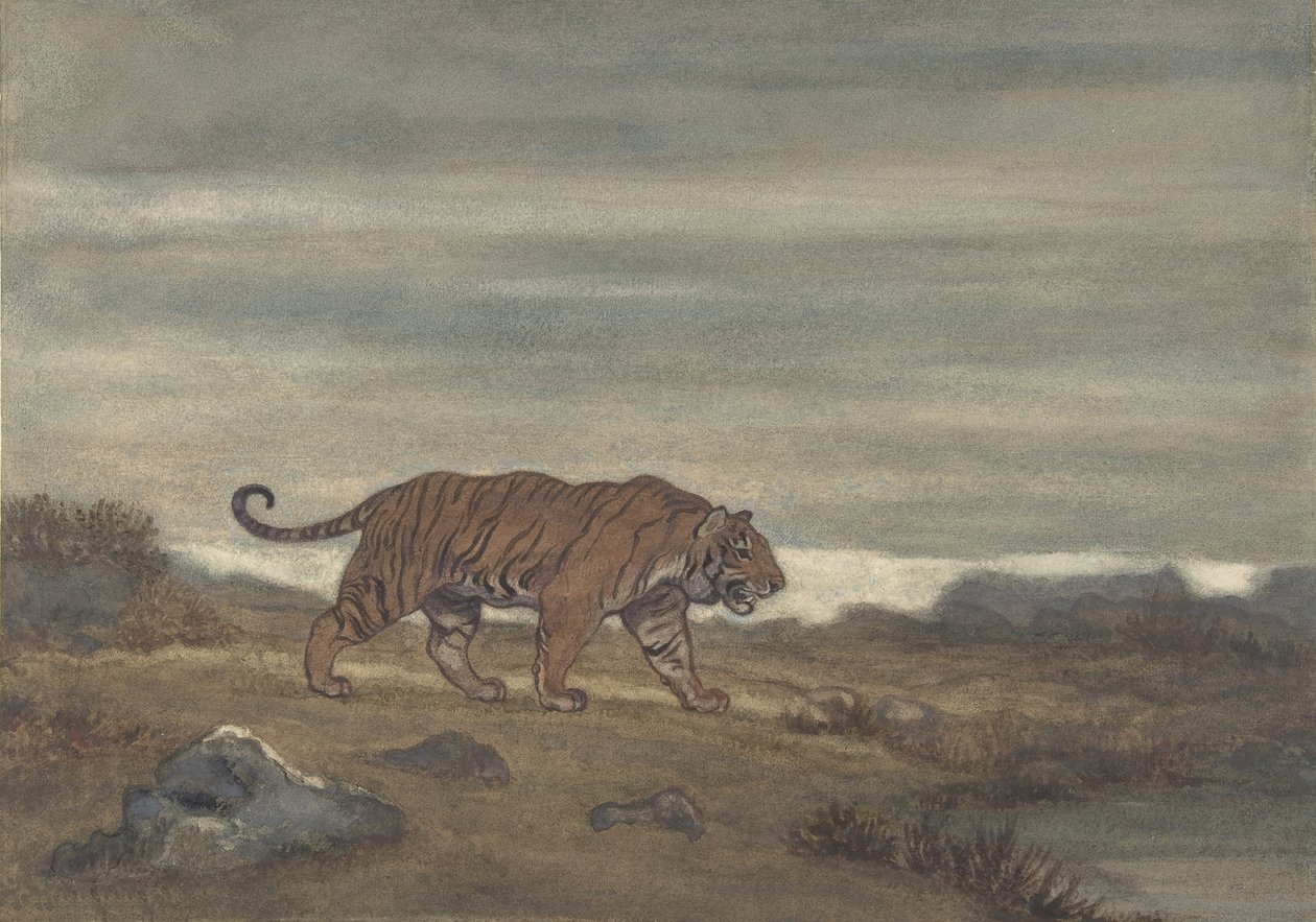 Tigre acercándose a la piscina, 1810-75 de Antoine Louis Barye