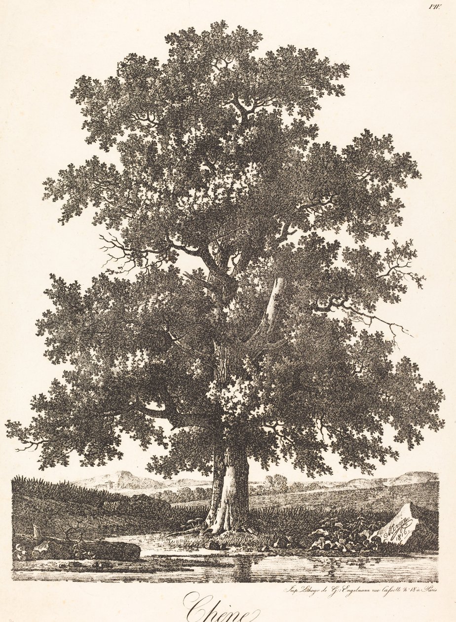 Roble de Antoine Pierre Mongin