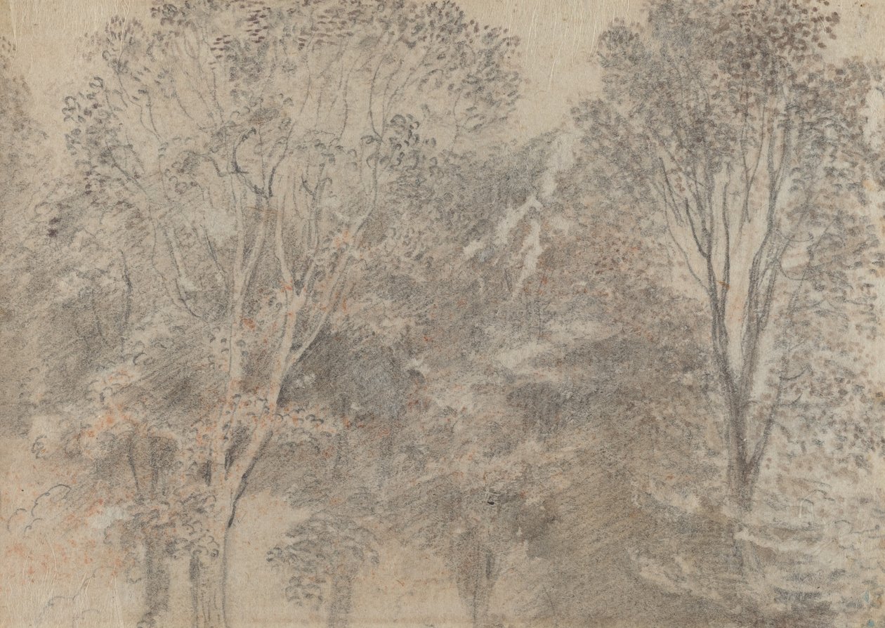 Copas de Árboles de Antoine Watteau